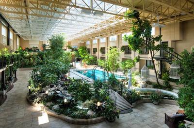 Jardin intérieur