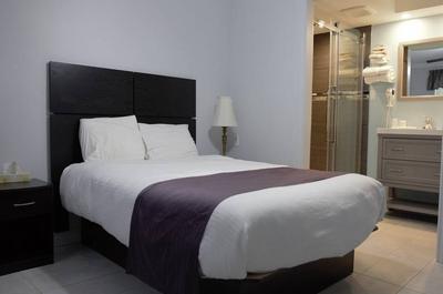 Chambre Deluxe avec 1 lit