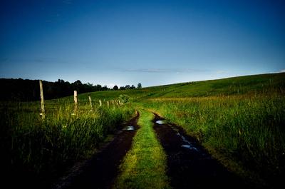 Sentier pédestre