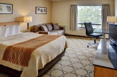 Chambre simple   © Hôtel Comfort Inn Rimouski