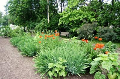 Les jardins oubliés   © C.Garon