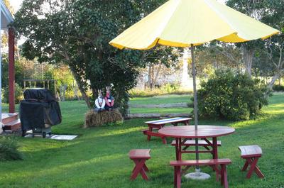Patio avec barbecue
