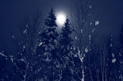 Hiver