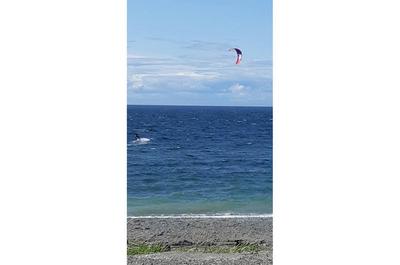 Planche à voile