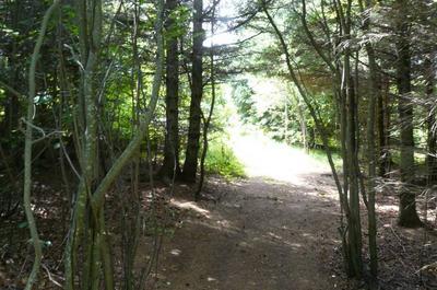 Secteur les murailles
