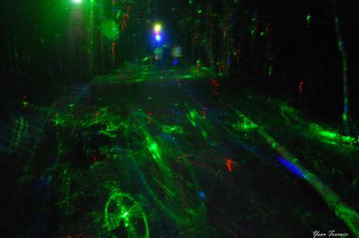 Activité nocturne   © Y.Fournier