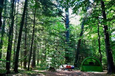 Site de camping