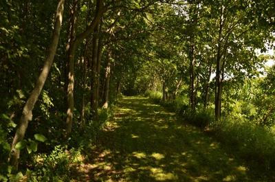 Sentier
