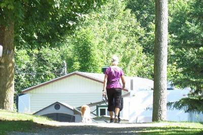 Les chiens sont les bienvenus