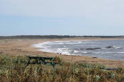 Paysage