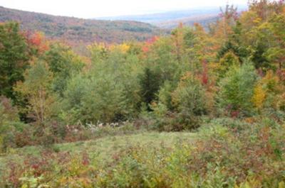Couleurs d'automne