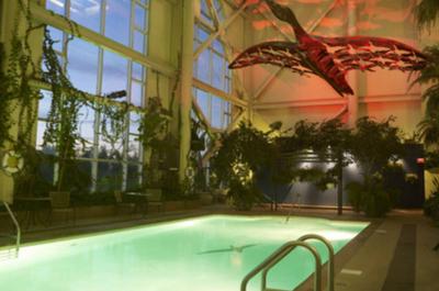 Jardin tropical intérieur (soirée)