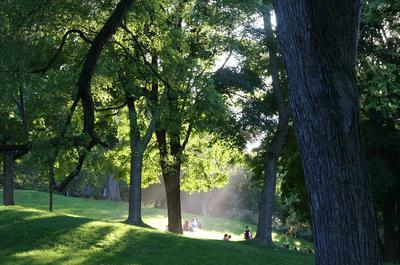 Le Parc du Mont-Royal   © Les amis de la montagne