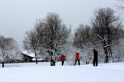 Ski de fond