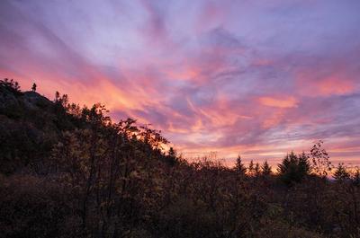 Coucher de soleil sur le parc   © TQ/G.Leroyer