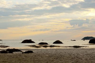 Paysage   © TQ/A.Quenneville