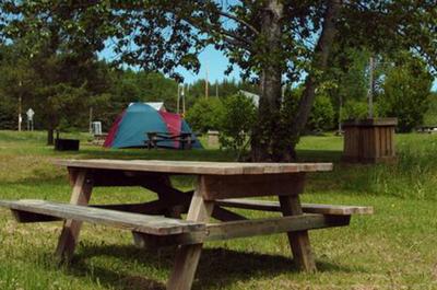Table à pique-nique