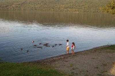 Sur le bord de l'eau