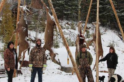 Chasse chevreuil   © M.Leduc