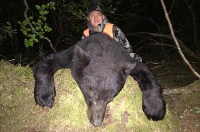 Chasse à l'ours